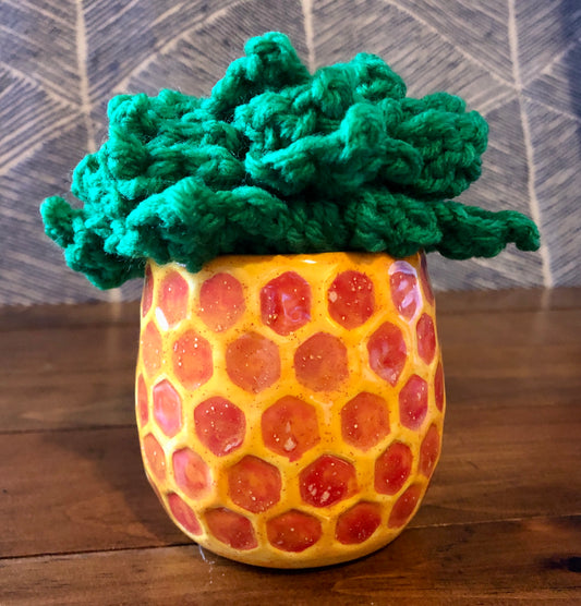 Crocheted Succulent