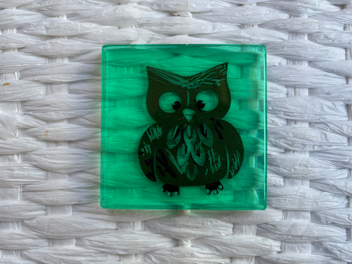 Owl Resin Magnet